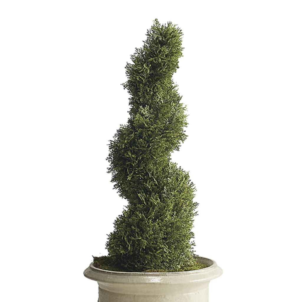 Cypress Topiary